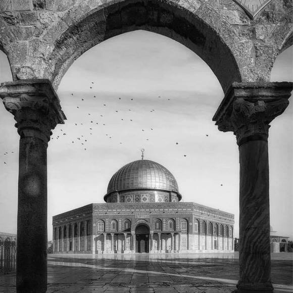 rihamsalem